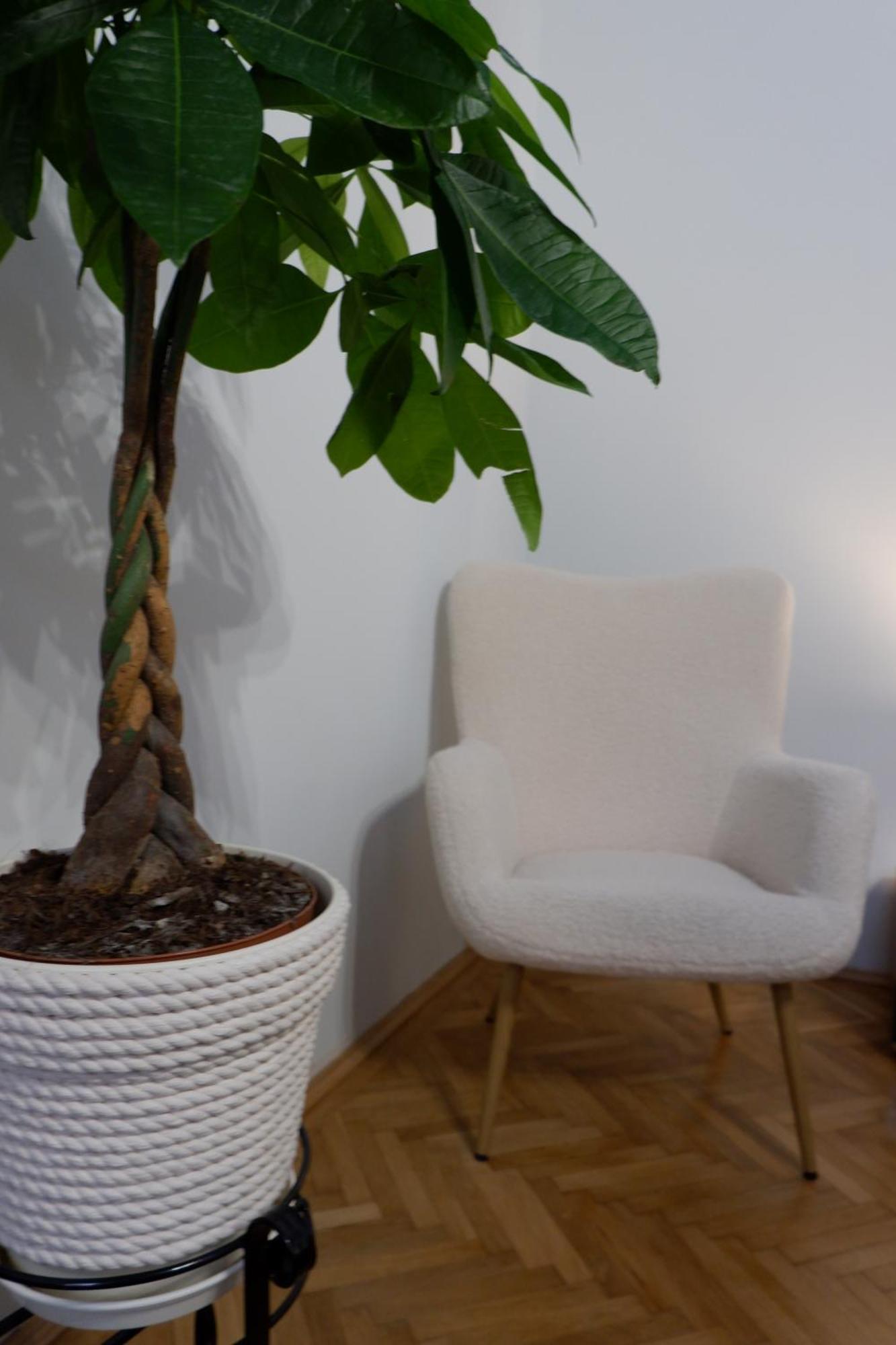 2 Bedroom Oldtown Mountain View Apartment With Private Terrace And High Ceilings Rooms Brasov Exterior photo